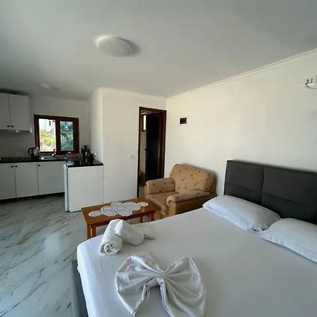 Vjollca's *