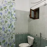 Vjollca's