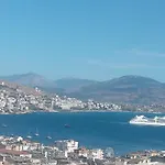 Vjollca's