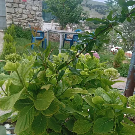 Holiday home Vjollca's Sarande