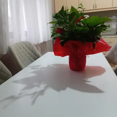 Vjollca's Dom wakacyjny *