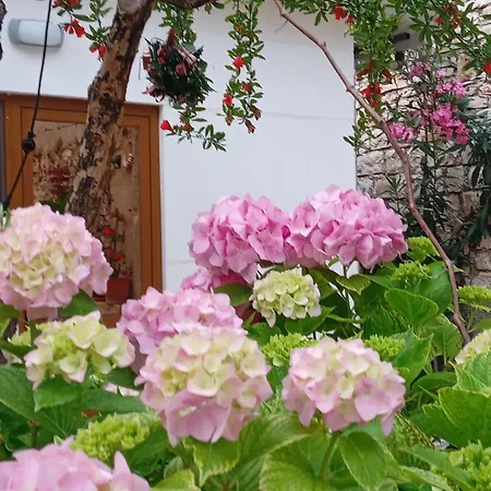 Holiday home Vjollca's Sarande