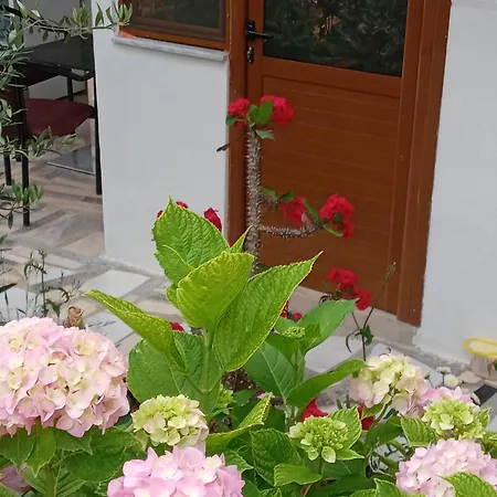 Vjollca's Sarande