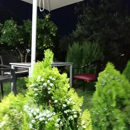 Vjollca's סרנדה
