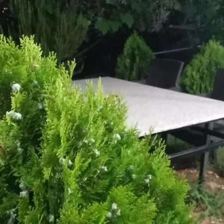 Tatil Evi Vjollca's