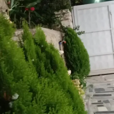 Tatil Evi Vjollca's Saranda