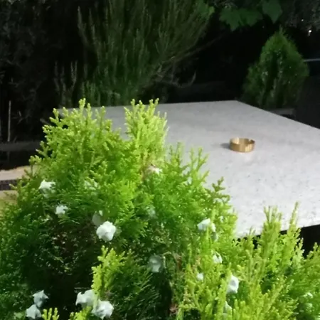 Tatil Evi Vjollca's