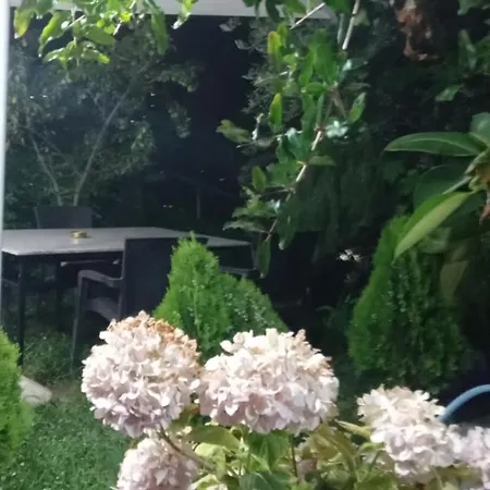 Tatil Evi Vjollca's Saranda